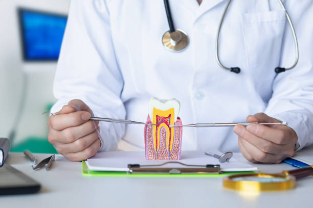 Best Emergency Dentist for Knocked-Out Tooth in King Cove, AK